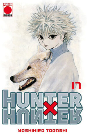 hunter-x-hunter-17