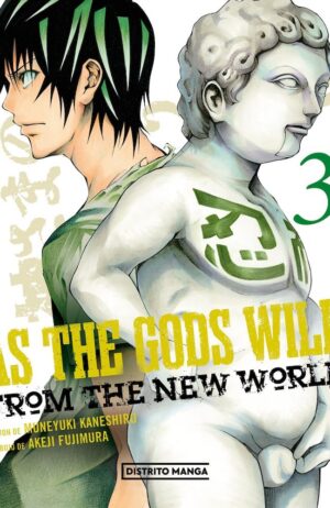 as-the-gods-will-3-distrito-manga