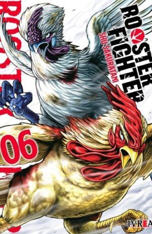 rooster-fighter-06-ivrea