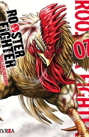 rooster-fighter-07-ivrea