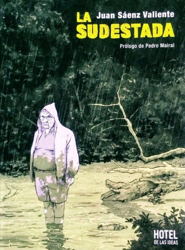 LA SUDESTADA - HOTEL DE LAS IDEAS