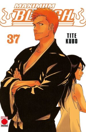 maximum-bleach-37-panini