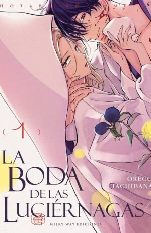 la-boda-de-las-luciernagas-01-milky-way