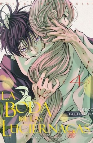 la-boda-de-las-luciernagas-04-milky-way