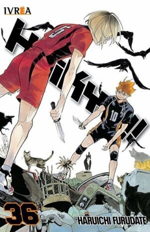 haikyu-36-ivrea