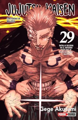 jujutsu-kaisen-29-panini