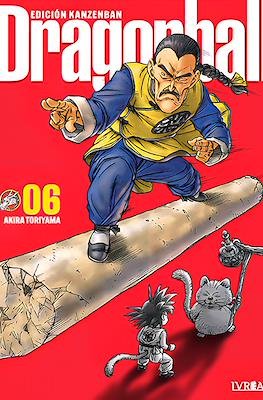DRAGON BALL KANZENBAN 06 - IVREA