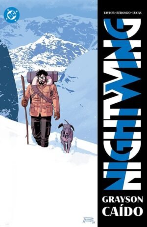 nightwing-07-panini