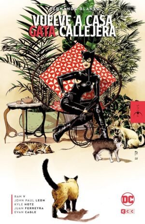 CATWOMAN VUELVE A CASA , GATA CALLEJERA ECC